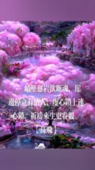 春雨直播app